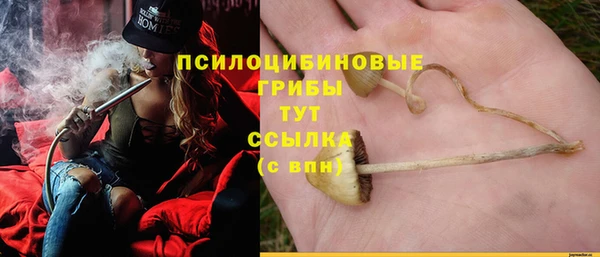 спиды Богородск