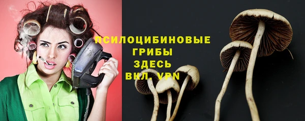 спиды Богородск
