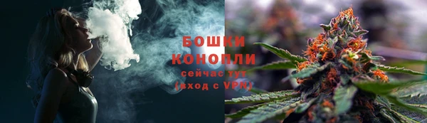 спиды Богородск