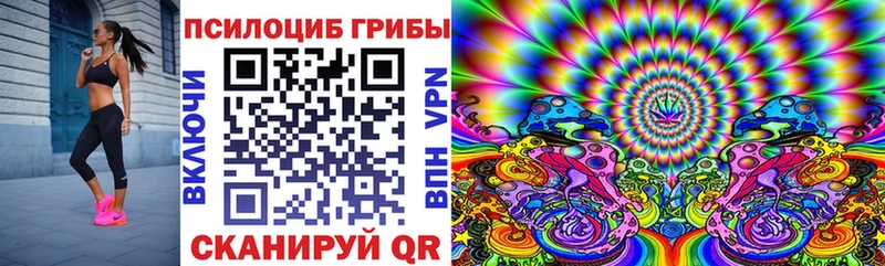 закладка Верхняя Пышма МЕГА маркетплейс Галлюциногенные грибы мицелий
