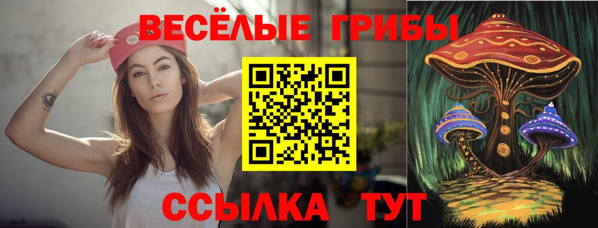 Псилоцибиновые грибы ЛСД Верхняя Пышма