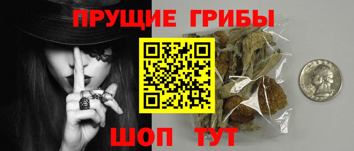 Псилоцибиновые грибы Cubensis  Вход с VPN  Верхняя Пышма 